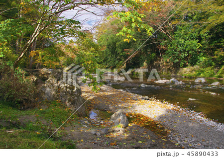 紅葉の吾妻峡 45890433