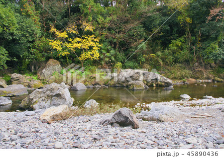 紅葉の吾妻峡 45890436