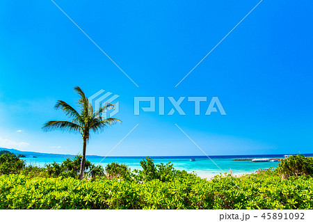 沖縄の海　ブセナ海中公園 45891092