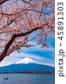 富士山 河口湖の桜③ 45891303