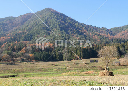 安曇野　晩秋の里山 45891838