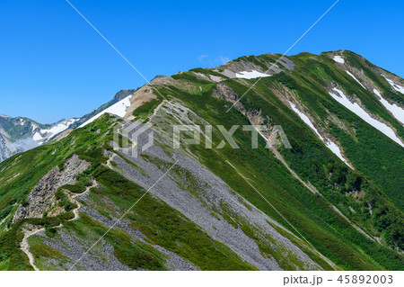 夏の小蓮華山 45892003