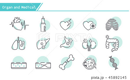 Organ and medical icon set Organ and medical icon set 45892145