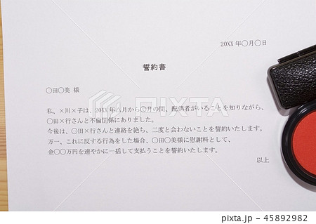 誓約書（浮気相手） 45892982