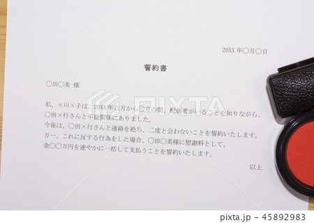 誓約書（浮気相手） 45892983