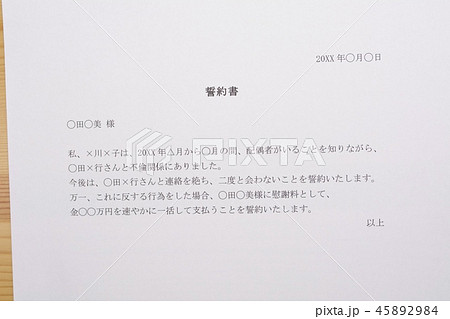 誓約書（浮気相手） 45892984