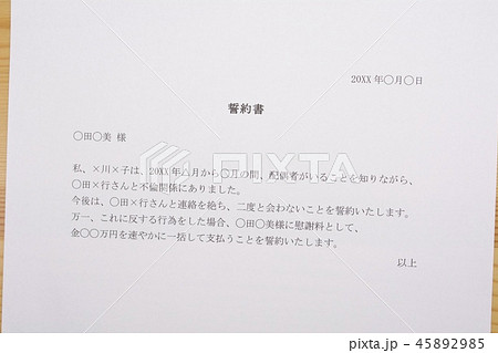 誓約書（浮気相手） 45892985