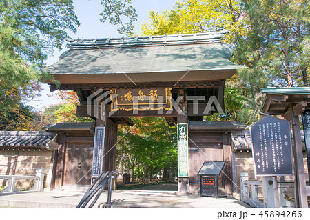 東京都 世田谷区 九品仏浄真寺 総門の紅葉 東京都 世田谷区 九品仏浄真寺 総門の紅葉 45894266