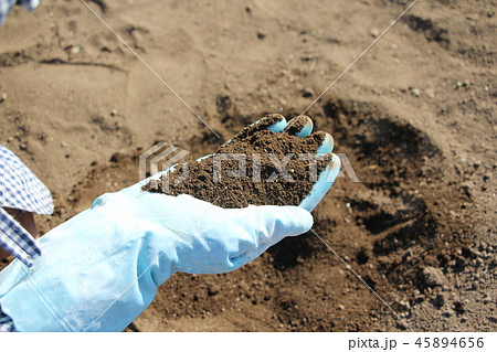 畑の土 45894656