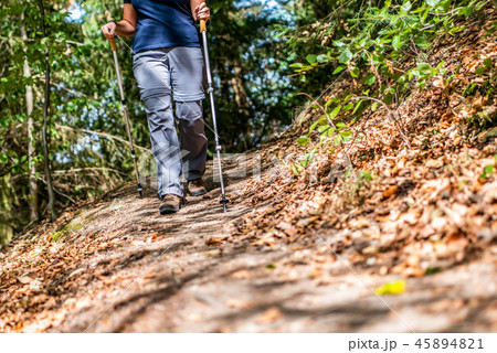 Young girl woman Hiking schoes and sticks detail view in the forest outdoor activity in nature Young girl woman Hiking schoes and sticks detail view in the forest outdoor activity in nature 45894821