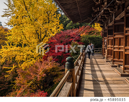 姫路にある紅葉の円教寺 姫路にある紅葉の円教寺 45895035