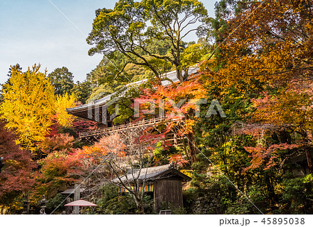 姫路にある紅葉の円教寺 姫路にある紅葉の円教寺 45895038