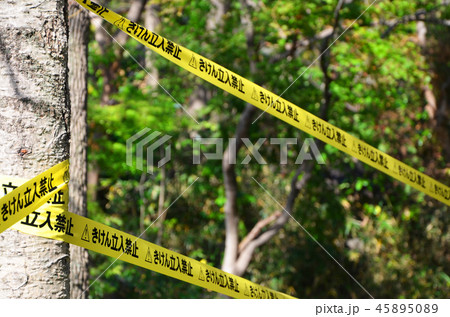 危険な場所に張り巡らされた「立入禁止」のバリケードテープ 45895089