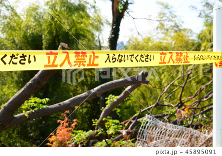 危険な場所に張り巡らされた「立入禁止」のバリケードテープ 危険な場所に張り巡らされた「立入禁止」のバリケードテープ 45895091