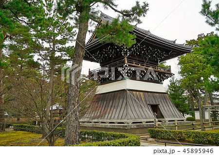 相国寺の鐘楼と梅の花 45895946