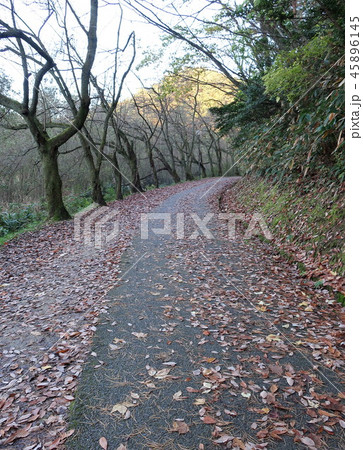 晩秋 山道 晩秋 山道 45896145