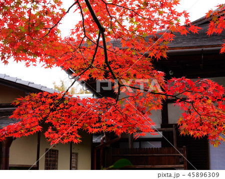 南禅寺 天授庵 南禅寺 天授庵 45896309