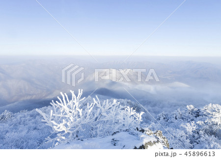 徳裕山 雪景色 冬 45896613