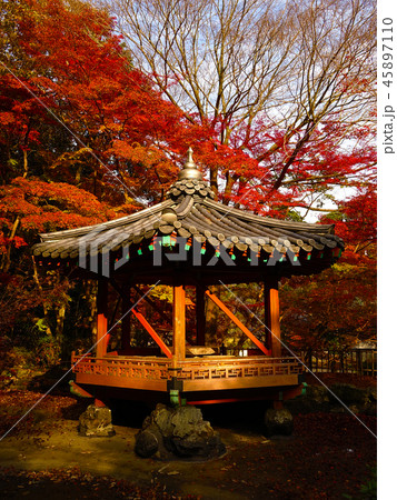 紅葉谷公園(山口県:岩国) 紅葉谷公園(山口県:岩国) 45897110