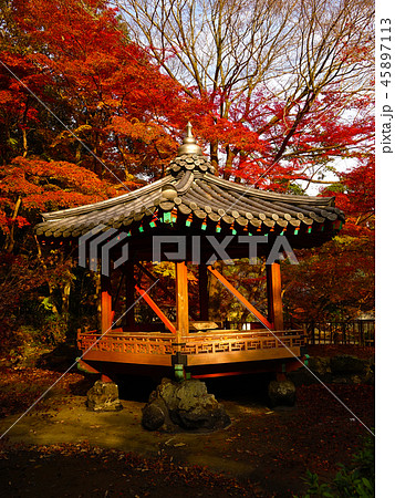 紅葉谷公園（山口県：岩国） 45897113