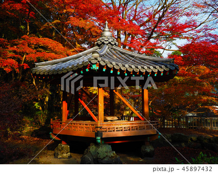 紅葉谷公園(山口県:岩国) 紅葉谷公園(山口県:岩国) 45897432