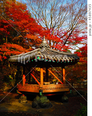 紅葉谷公園（山口県：岩国） 45897435