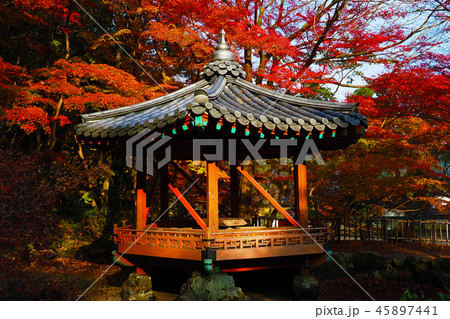 紅葉谷公園（山口県：岩国） 45897441
