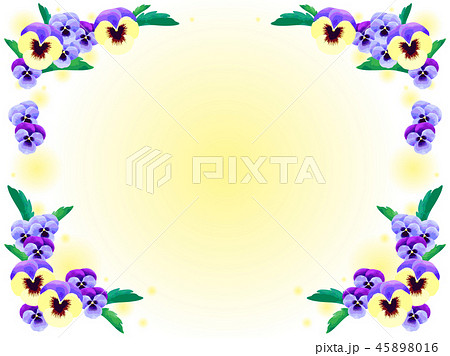 パンジーの背景 45898016