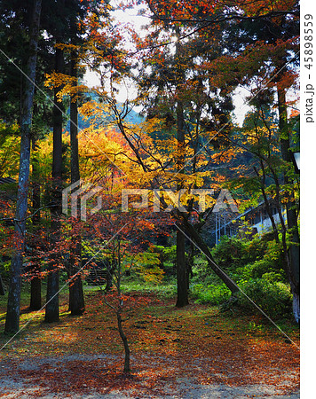 紅葉谷公園（山口県：岩国） 45898559