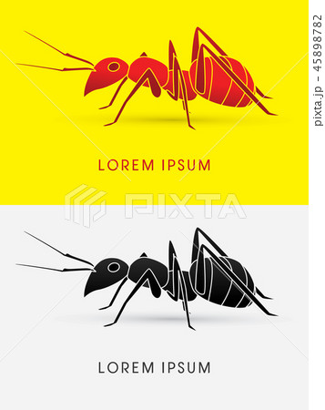 Ant walking graphic vector 45898782