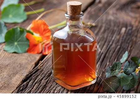 Nasturtium tincture with fresh Tropaeolum majus 45899152