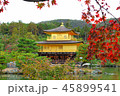 京都 紅葉 45899541