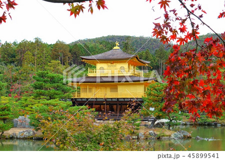 京都 紅葉 45899541