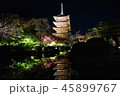 京都 紅葉 ライトアップ 45899767