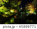 京都 紅葉 ライトアップ 45899771