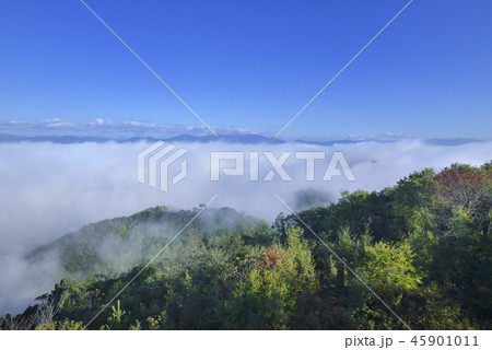 湯郷温泉 45901011