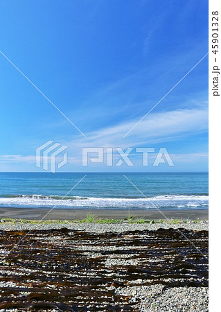 北海道　夏の青空と海と日高昆布 45901328