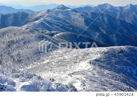 徳裕山 雪景色 風景 45901428