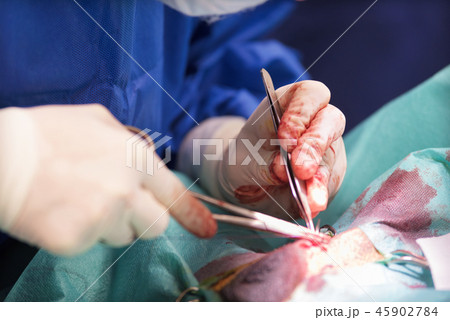 detail of surgical operation in the surgical room 45902784