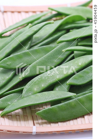 サヤエンドウ　絹さや　白背景 45904459