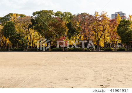大阪。大阪城公園、グランドの紅葉。 45904954