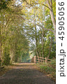 木々に囲まれた田舎の散歩道 45905056