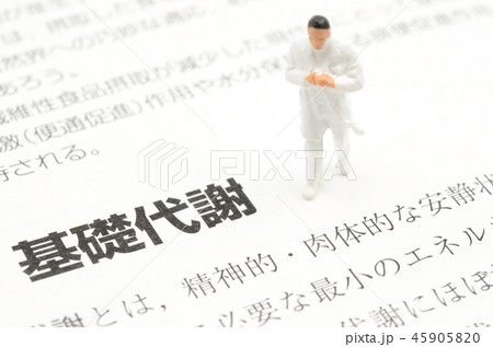 基礎代謝イメージ 45905820