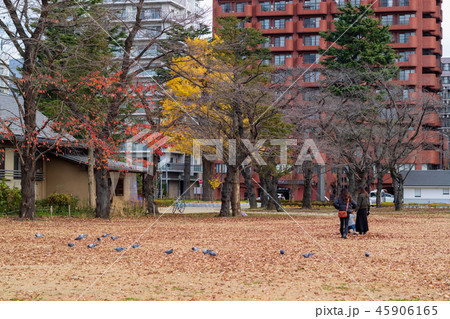 晩秋の仙台西公園 45906165