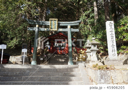 【下野国一宮】二荒山神社中宮祠の奥宮登拝口　栃木県日光市 45906205