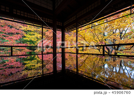 秋の瑠璃光院 秋の瑠璃光院 45906760