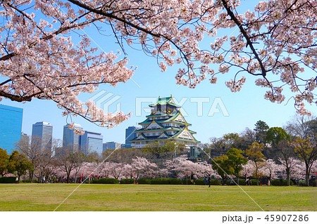 桜景色の大阪城 桜景色の大阪城 45907286