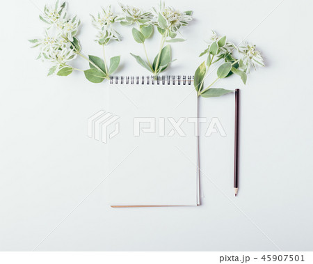 Mock-up with clean notepad and small green flowers Mock-up with clean notepad and small green flowers 45907501