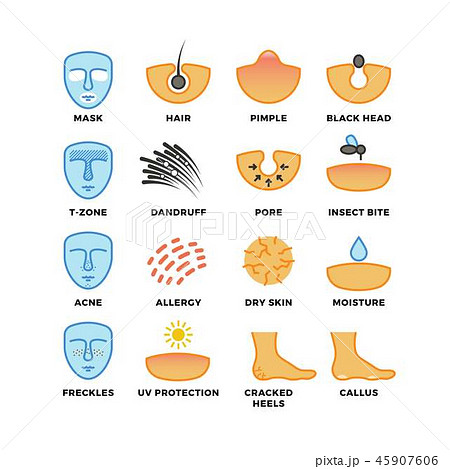Skin types, care and cosmetic vector icons 45907606