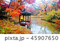 昌慶宮 悲願 秋 45907650